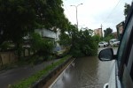 लखनऊ समेत मध्य यूपी में मौसम प्रणाली पर लगातार नजर, अगले 12 घंटों में और कमजोर होने की संभावना (फोटो सोर्स : Ritesh Singh )