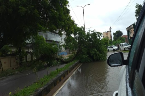 लखनऊ समेत मध्य यूपी में मौसम प्रणाली पर लगातार नजर, अगले 12 घंटों में और कमजोर होने की संभावना (फोटो सोर्स : Ritesh Singh )