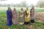 Katni Women Organic Farming