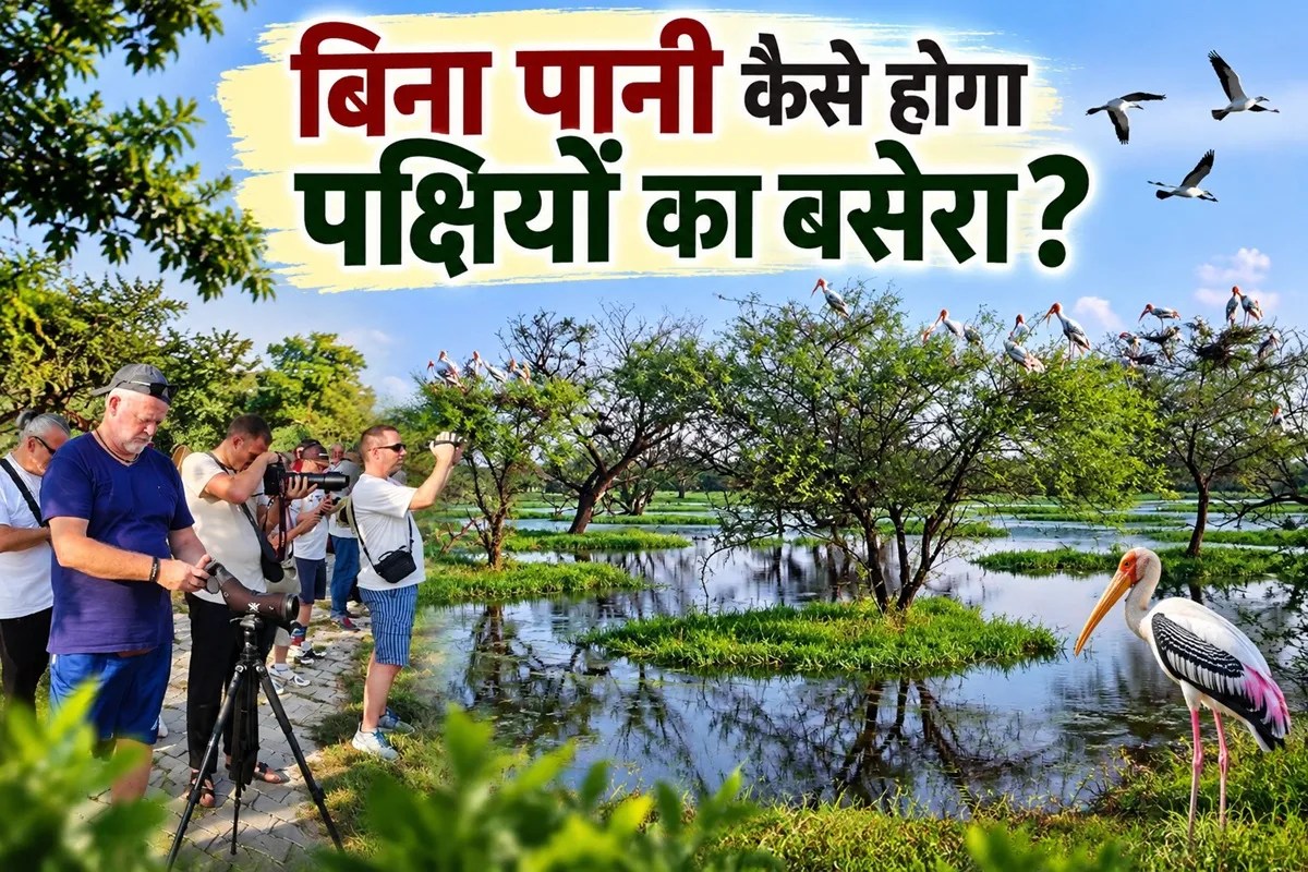 Keoladeo Water Scarcity