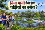Keoladeo Water Scarcity