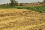 Land Fraud in Ambikapur