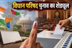 Legislative Council elections