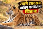 Mahak Tigeress