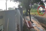 Maharashtra Accident