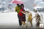 maharashtra rain alert