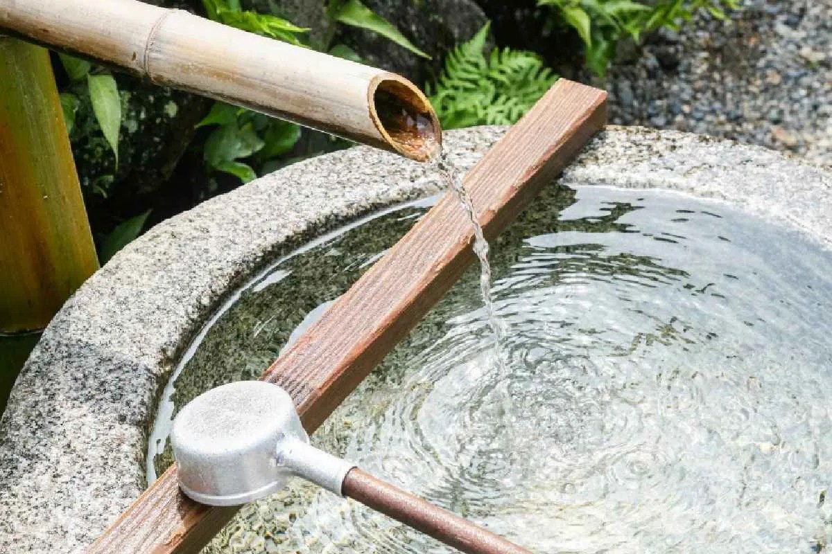 Research: घरों के पानी में पहुंच रही ‘एंटीबायोटिक दवाएं’, IISER ने खोजा पानी साफ करने का नया तरीका