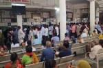 Dengue Outbreak in Vadodara: Patient Numbers Rise in Hospitals; Girl from Chhota Udepur Dies