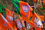 Phalodi Nagar Parishad Result