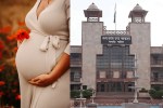 gwalior high court pregnancy after sterilization woman compensation