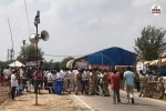 Rajasthan Nikay Chunav results Live