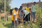 Rescue Operation