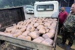 50 lakh hemp seized by Balrampur police