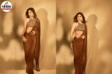 Saree Petticoat, Saree Petticoat Types