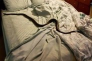 Woman died due to snake bite