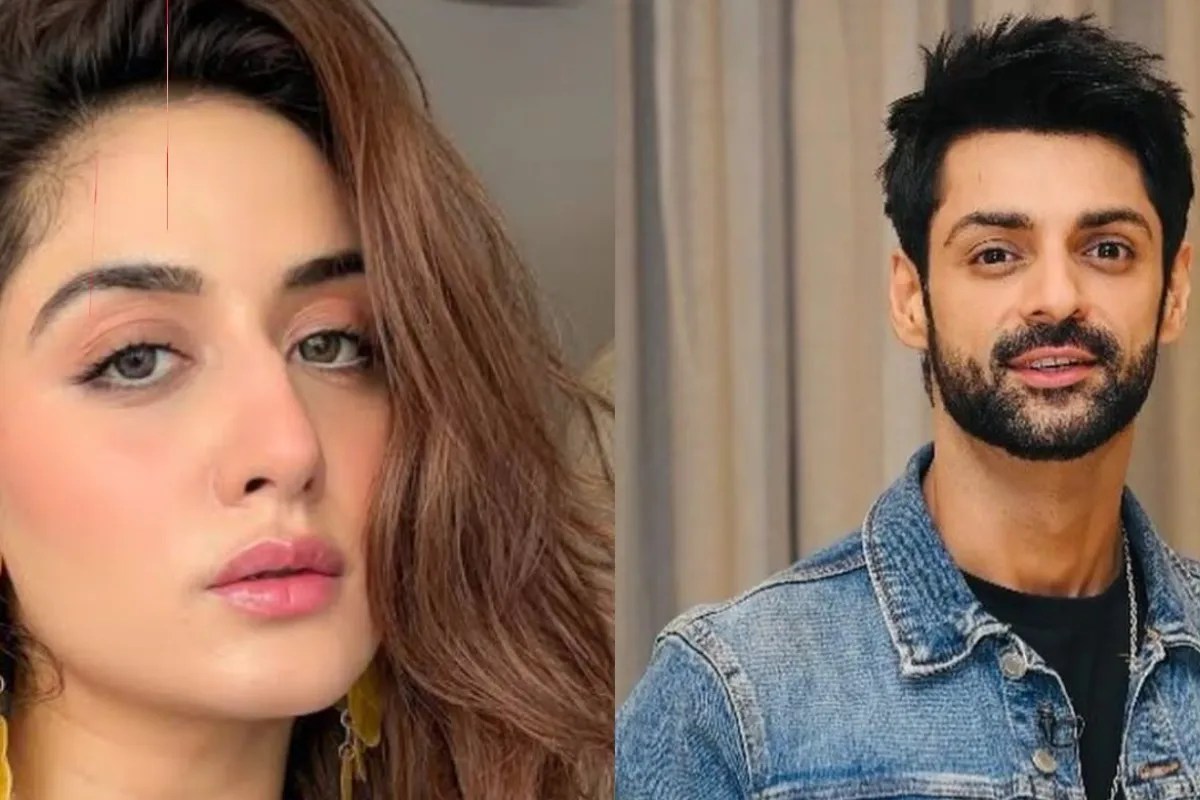 Karan Wahi On Bigg Boss 20 Wild Card Entry
