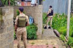 South Kashmir Raids