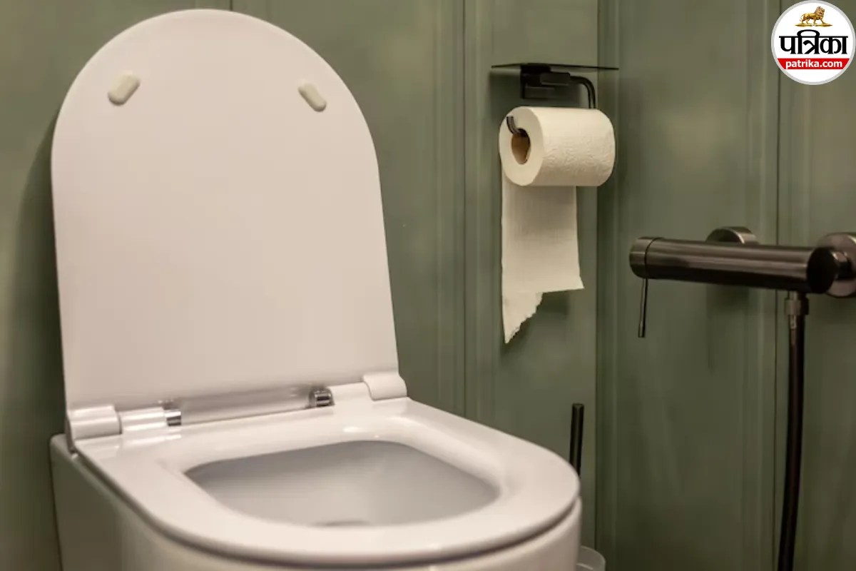 Toilet Flush, Toilet Seat Cover
