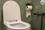 Toilet Flush, Toilet Seat Cover
