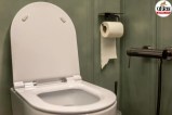Toilet Flush, Toilet Seat Cover
