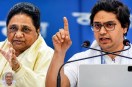 akash anand bsp mayawati expulsion public reaction on social media