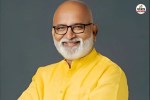 Vivek Rajvanshi