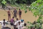 Agar Malwa Nalkheda accident