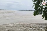 amroha ganga flood tigri water level news