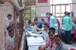 Bharatpur Nagar Nigam Result