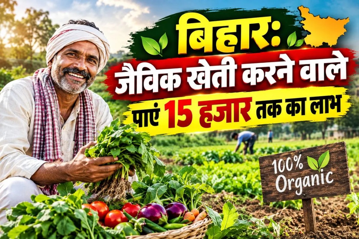 bihar vermicompost subsidy