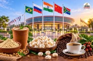 BRICS Summit 2026