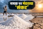 climate change effect on salt production