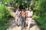 damoh aropi