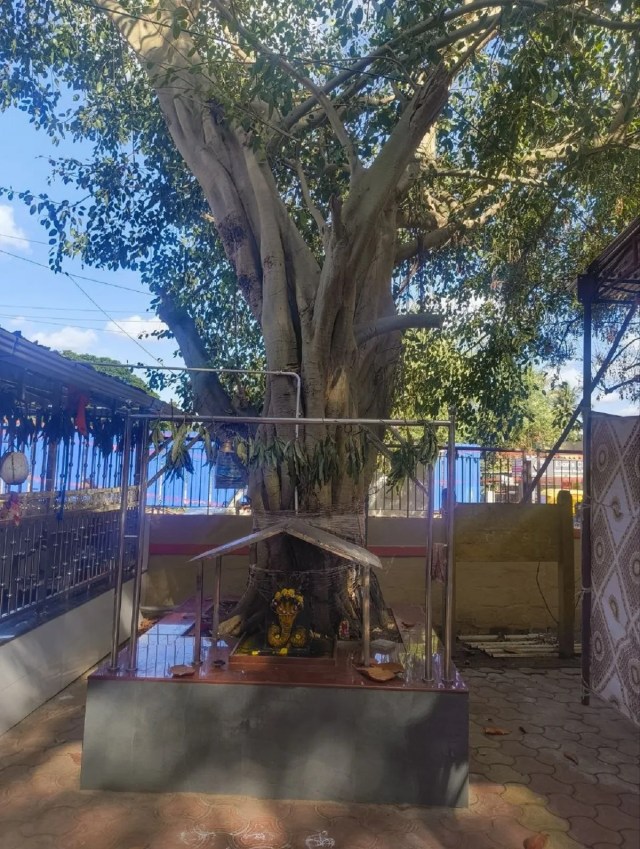 नागदेवता मंदिर