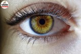Eye Donation Procedure, Eye Bank