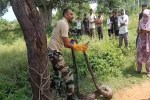 alwar python rescue