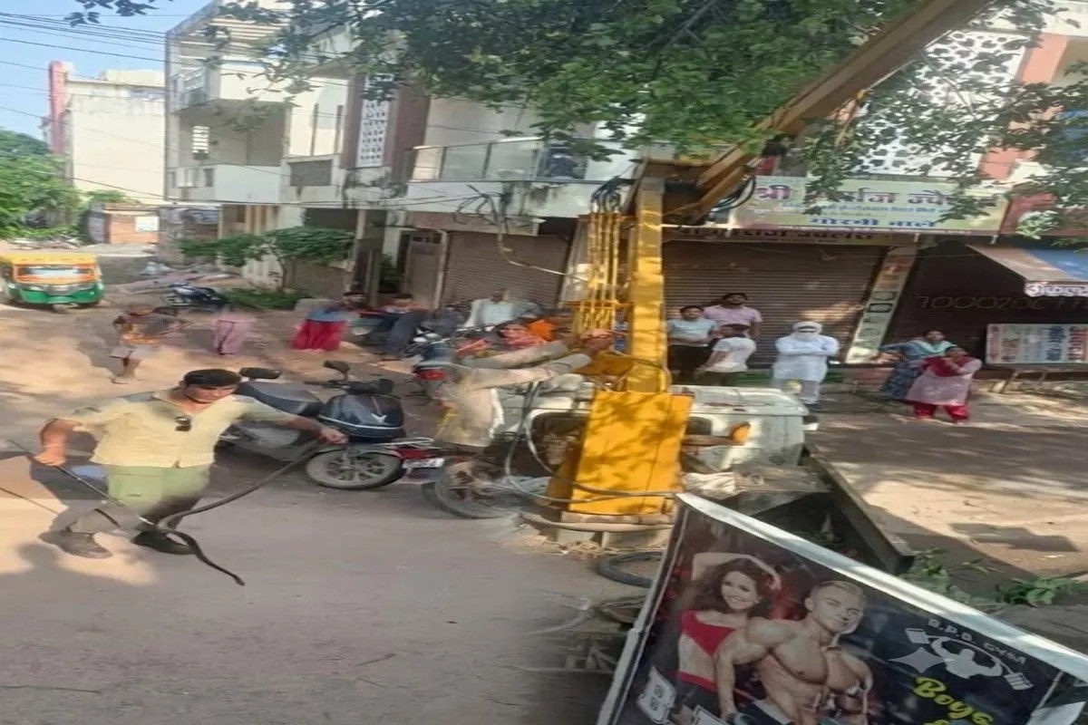 gwalior patrika photo (photo patrika)