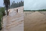 Arnab Cyclone Effect