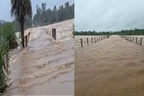 Arnab Cyclone Effect