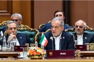 Iran Delegation