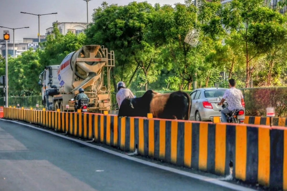 jaipur jda experiment fails