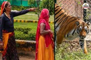 jaipur nahargarh tiger attack sugna devi protest nagal dharna
