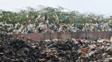 नागौर के बालवा रोड डपिंग यार्ड के हालात