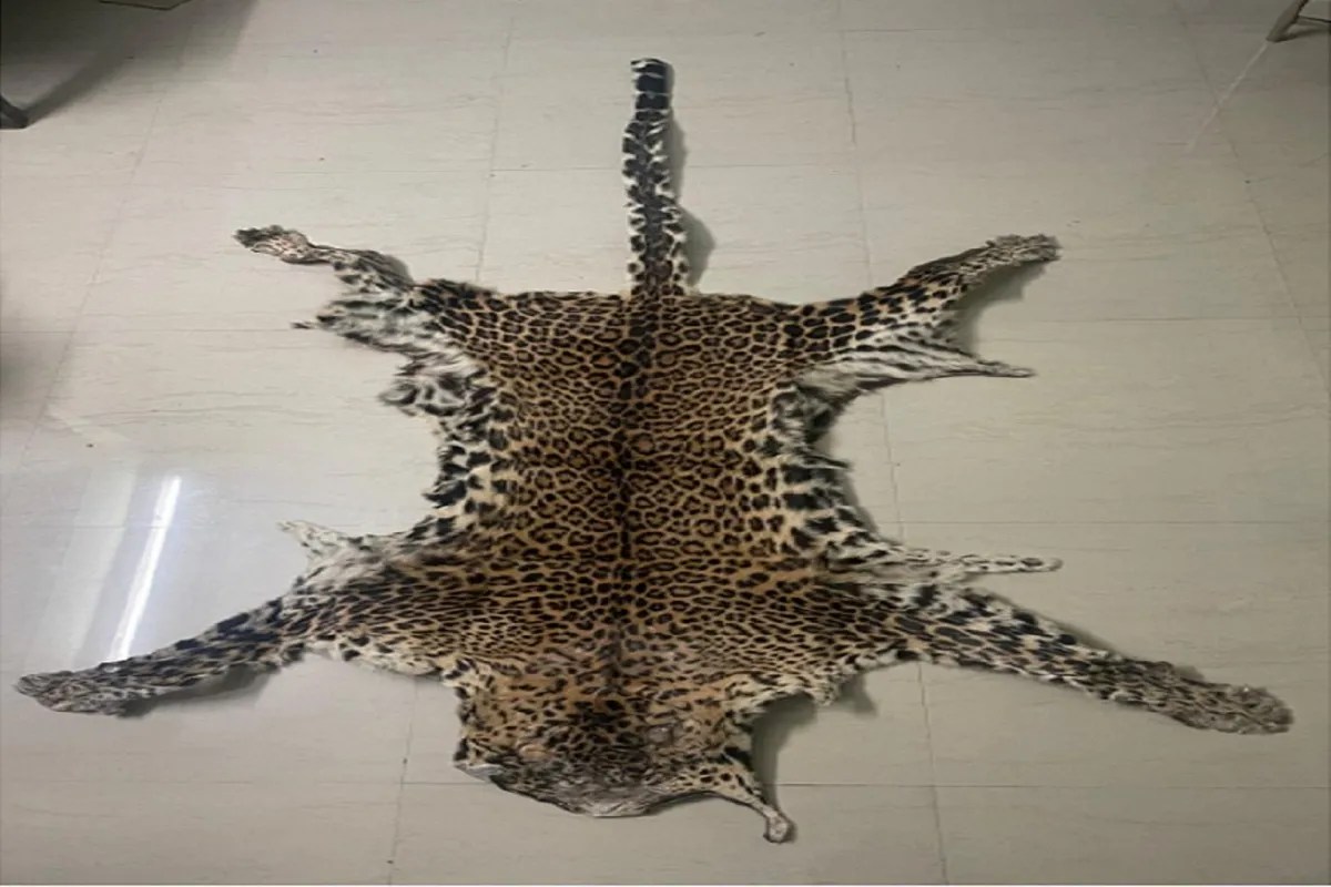 leopard skin