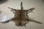 leopard skin