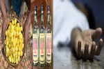 Liquor Death Case