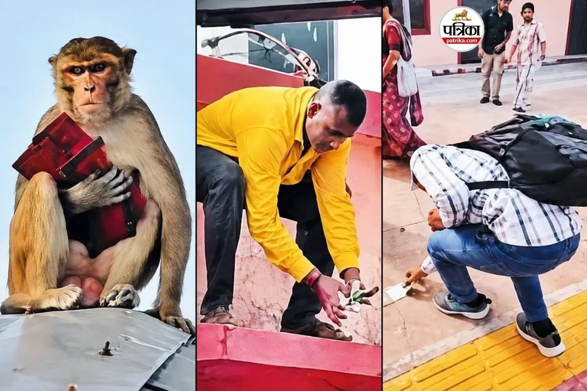 monkey shower notes karauli mahaveerji railway station viral video