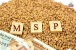 Rabi Crops MSP