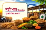Neemuch Mandi