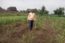 farmer